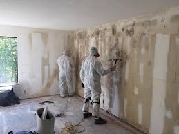 Best Emergency Mold Remediation  in USA